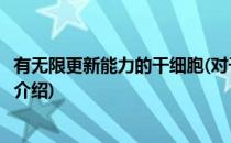 有无限更新能力的干细胞(对于有无限更新能力的干细胞简单介绍)