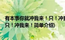 有本事你就冲我来！只！冲我来！(对于有本事你就冲我来！只！冲我来！简单介绍)