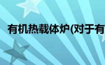 有机热载体炉(对于有机热载体炉简单介绍)