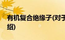有机复合绝缘子(对于有机复合绝缘子简单介绍)