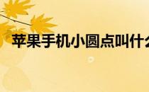 苹果手机小圆点叫什么（苹果手机小圆点）