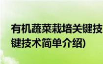 有机蔬菜栽培关键技术(对于有机蔬菜栽培关键技术简单介绍)