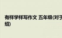 有样学样写作文 五年级(对于有样学样写作文 五年级简单介绍)