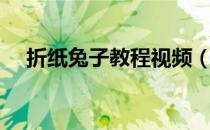 折纸兔子教程视频（折兔子的折纸视频）