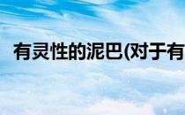 有灵性的泥巴(对于有灵性的泥巴简单介绍)