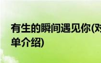 有生的瞬间遇见你(对于有生的瞬间遇见你简单介绍)