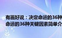 有画好说：决定命运的36种关键因素(对于有画好说：决定命运的36种关键因素简单介绍)