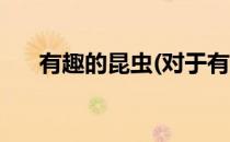 有趣的昆虫(对于有趣的昆虫简单介绍)