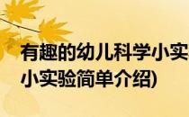 有趣的幼儿科学小实验(对于有趣的幼儿科学小实验简单介绍)