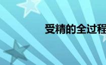 受精的全过程（交配过程）