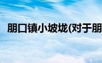 朋口镇小坡垅(对于朋口镇小坡垅简单介绍)