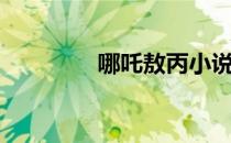哪吒敖丙小说（哪吒敖丙）
