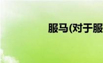 服马(对于服马简单介绍)