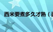 西米要煮多久才熟（西米怎么煮又快又好）