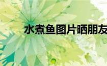 水煮鱼图片晒朋友圈（水煮鱼图片）