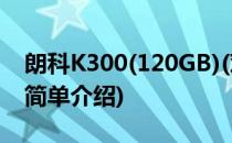 朗科K300(120GB)(对于朗科K300(120GB)简单介绍)