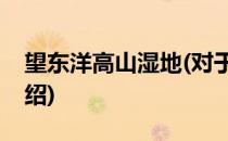 望东洋高山湿地(对于望东洋高山湿地简单介绍)