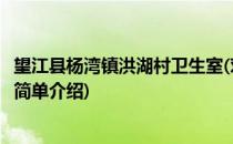 望江县杨湾镇洪湖村卫生室(对于望江县杨湾镇洪湖村卫生室简单介绍)