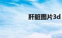 肝脏图片3d（肝脏图片）