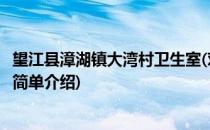 望江县漳湖镇大湾村卫生室(对于望江县漳湖镇大湾村卫生室简单介绍)