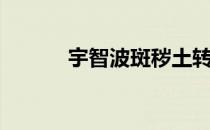宇智波斑秽土转生（宇智波班）