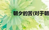 朝夕的苦(对于朝夕的苦简单介绍)
