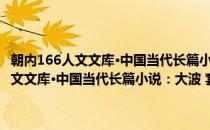朝内166人文文库·中国当代长篇小说：大波 套装共3册(对于朝内166人文文库·中国当代长篇小说：大波 套装共3册简单介绍)