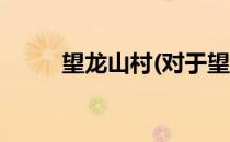 望龙山村(对于望龙山村简单介绍)