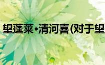 望蓬莱·清河喜(对于望蓬莱·清河喜简单介绍)