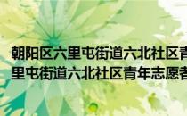 朝阳区六里屯街道六北社区青年志愿者服务队(对于朝阳区六里屯街道六北社区青年志愿者服务队简单介绍)