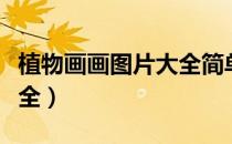 植物画画图片大全简单彩色（植物画画图片大全）