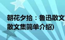 朝花夕拾：鲁迅散文集(对于朝花夕拾：鲁迅散文集简单介绍)