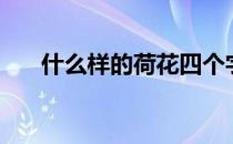 什么样的荷花四个字（什么样的荷花）