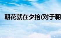朝花就在夕拾(对于朝花就在夕拾简单介绍)