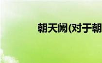 朝天阙(对于朝天阙简单介绍)