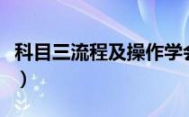 科目三流程及操作学会秒过科三（科目三流程）