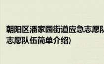 朝阳区潘家园街道应急志愿队伍(对于朝阳区潘家园街道应急志愿队伍简单介绍)