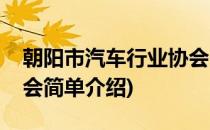 朝阳市汽车行业协会(对于朝阳市汽车行业协会简单介绍)