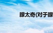 朦太奇(对于朦太奇简单介绍)