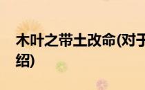木叶之带土改命(对于木叶之带土改命简单介绍)