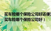 买车险哪个保险公司好还便宜大平保险公司全国排名第几（买车险哪个保险公司好）