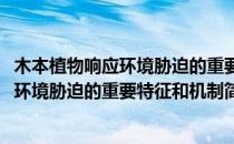 木本植物响应环境胁迫的重要特征和机制(对于木本植物响应环境胁迫的重要特征和机制简单介绍)