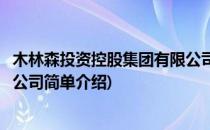 木林森投资控股集团有限公司(对于木林森投资控股集团有限公司简单介绍)
