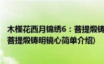 木槿花西月锦绣6：菩提煅铸明镜心(对于木槿花西月锦绣6：菩提煅铸明镜心简单介绍)