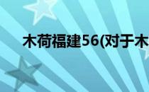 木荷福建56(对于木荷福建56简单介绍)