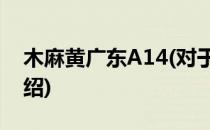 木麻黄广东A14(对于木麻黄广东A14简单介绍)