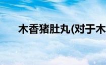 木香猪肚丸(对于木香猪肚丸简单介绍)