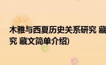 木雅与西夏历史关系研究 藏文(对于木雅与西夏历史关系研究 藏文简单介绍)