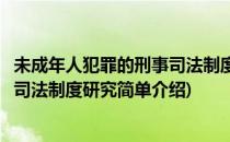 未成年人犯罪的刑事司法制度研究(对于未成年人犯罪的刑事司法制度研究简单介绍)