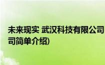 未来现实 武汉科技有限公司(对于未来现实 武汉科技有限公司简单介绍)